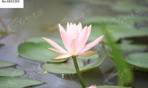 脸上简单涂什么好处网 :分享脸上平常抹点什么能慢慢去斑-脸上涂的什么又白又亮又光滑知识